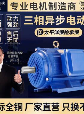 三相异步电动机11/15/18.5/22/30/37/45/55千瓦全铜电机380V