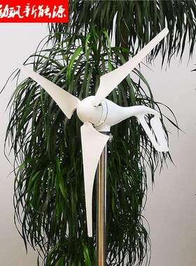 厂家直销水平轴100W200WW30型12v240v小LS-100SE风力发电机风光互