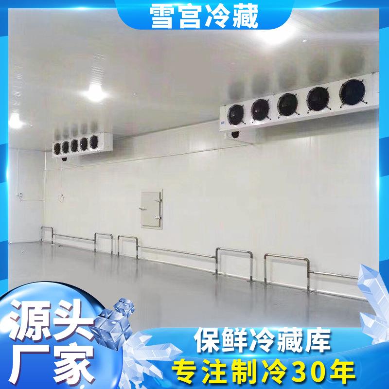 出售大钢彩板BMD水果蔬菜保鲜冷藏不锈库钢超低温型海鲜肉类冷冻