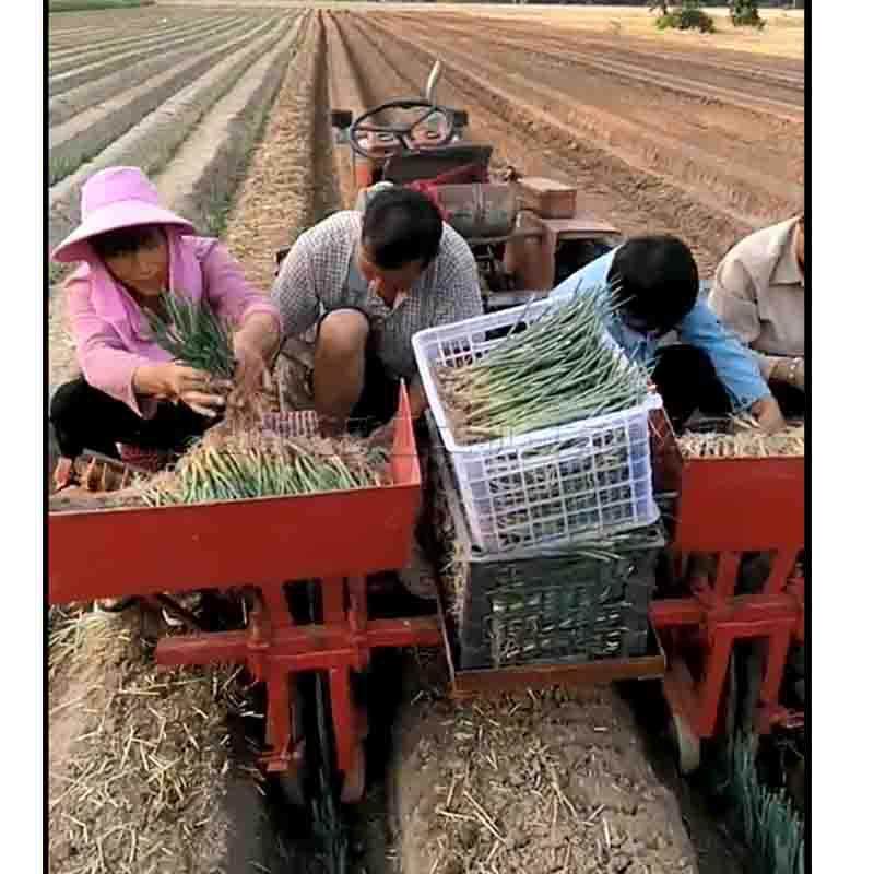 江苏启东大葱种植机 大规模基地青葱葱苗栽种机 秧苗移栽机