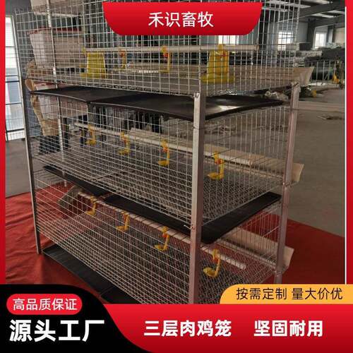 立体肉鸡鸡笼H型框架笼鸡舍养鸡场用镀锌工艺层叠式可供外贸