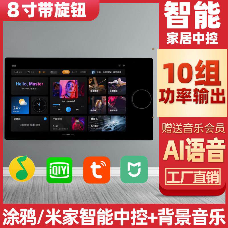 AI智能背景音乐系统主机家庭智能家居音响家用中控面板开关控制器