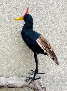 仿真董鸡工艺品橱窗美陈造景装饰小摆件外拍摄影教学演示