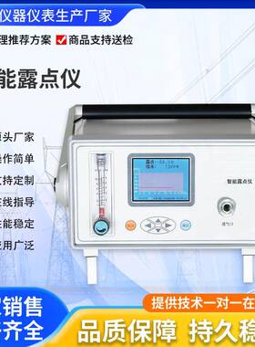 智能精密气体微水测试仪精度0.5H2sf6气体微水露点测量测湿仪