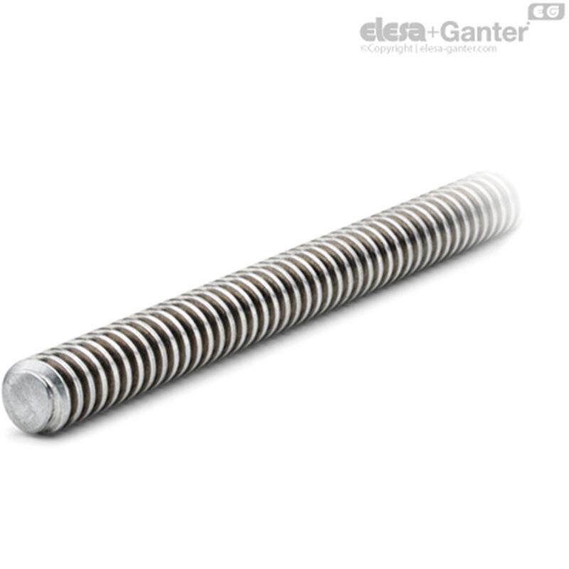 Elesa Ganter伊莉莎冈特 NSL用于 NSF 的丝杆轴