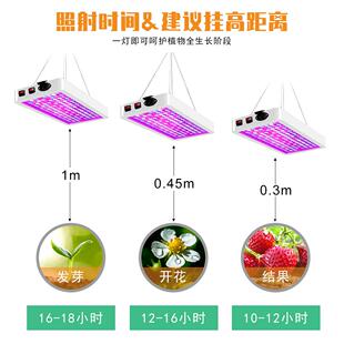家LED植物生长灯宽压蔬菜厂照射植物灯光水果BUR育苗多肉补灯