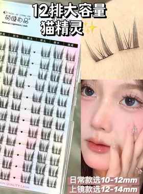 【品牌正品】DIY Individual Lashes Anime Eyelashes Natural La