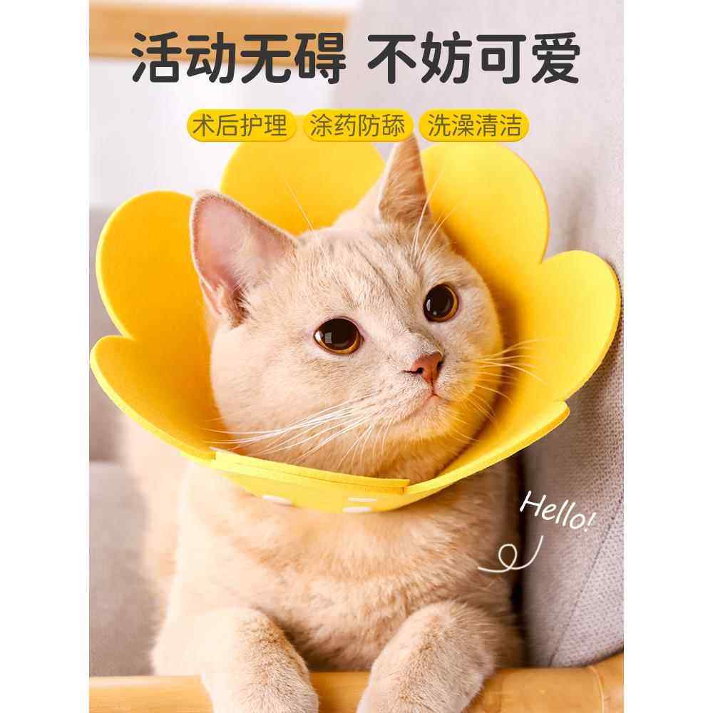 猫咪伊丽莎白圈绝育项伊利沙白防舔颈头套狗狗脖宠物用品,宠物/宠物食品及用品,宠物伊丽莎白圈,淘宝优惠券,粉丝福利购,淘宝优惠卷