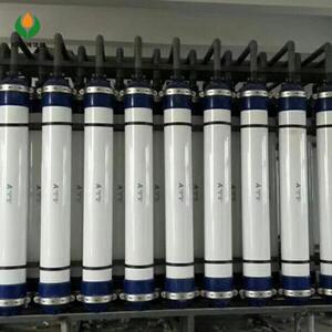 超滤膜过滤器滤芯超滤水处理设备AQU250膜元件