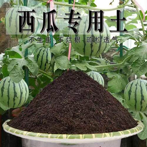 营养通用松针种菜专用栽培基质