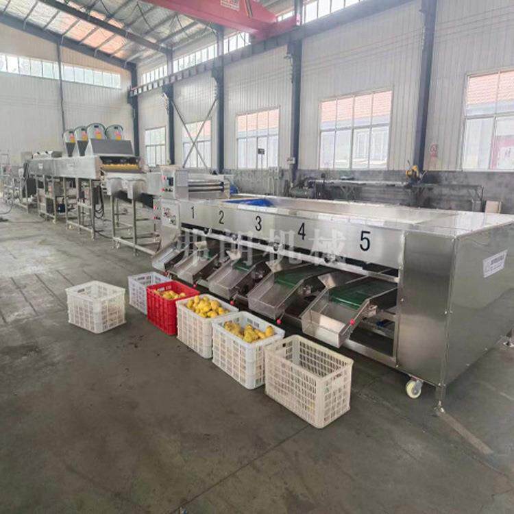 洋葱土豆大小分级机根茎类农产品分级机红薯不锈钢滚杠分级机