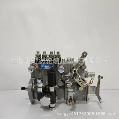 油泵4I4024I4854I195A4I1314QTD0104QTD10224QTD10494I225