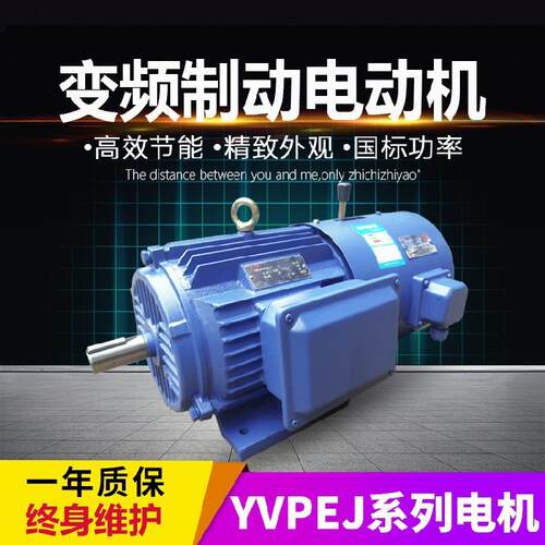 YVFEJ变频制动调速三相异步电动机7.5/11/15/22/30/37/45/55/75W