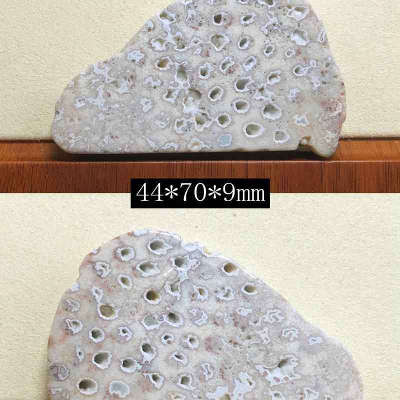 正品印尼原矿天饰然珊瑚玉原石矿料摆件菊花石手把玉件装品饰片料