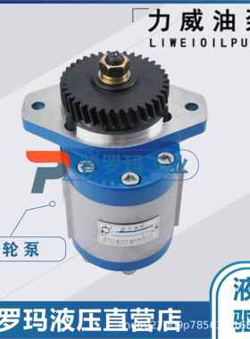 合肥力威汽车油泵陕汽特种车潍柴 杭发WD615天力转向泵QC32/17-ST