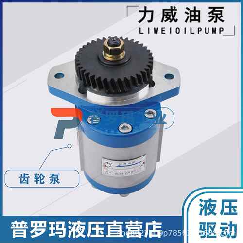 合肥力威汽车油泵陕汽特种车潍柴 杭发WD615天力转向泵QC32/17-ST