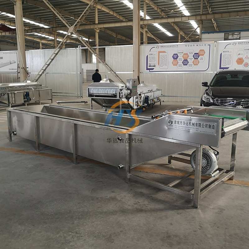 菜全自动预制加工酸菜气泡加工辣椒设备果蔬净菜清洗机杨梅清洗机