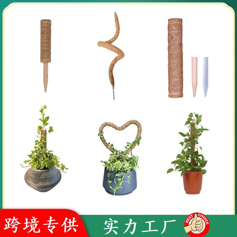 园艺龟背竹支撑苔藓杆绿萝植物攀爬水苔柱可弯曲变形棕榈椰棕棒