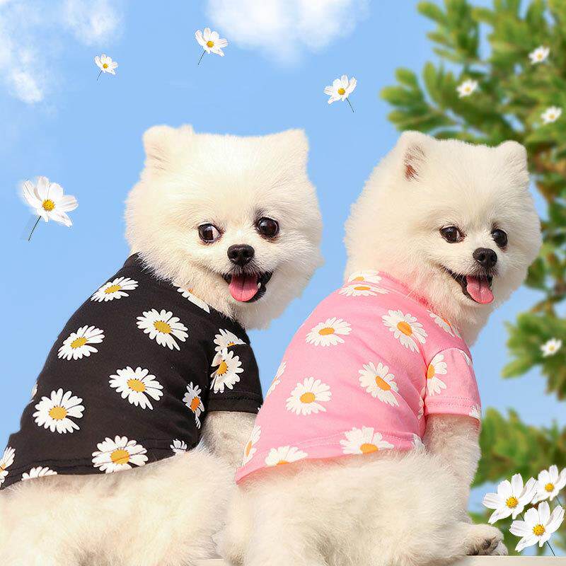 狗狗猫咪春夏秋出游宠物狗猫用品泰迪比熊小中型犬衣服潮装短袖