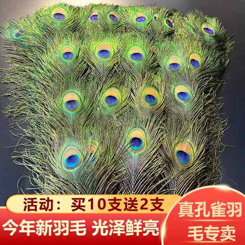 家居饰品摆件纯天然孔雀羽毛花瓶孔雀毛真羽毛孔雀翎尾婚庆装之新