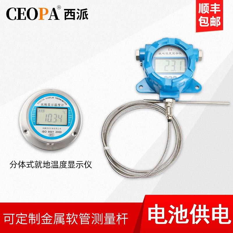 就显示仪pt100 热电阻防爆数显温湿度计传感器 地度就地温显示仪