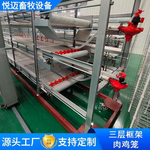 框架肉鸡笼镀锌雏肉鸡两用三层鸡笼肉鸡笼肉鸡自动化养殖设备厂家