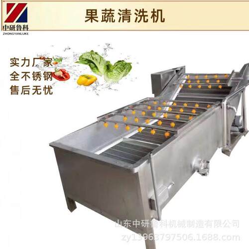 大型洗果机 电动淋喷式商用水果清洗机 蔬菜农残留清洗设备