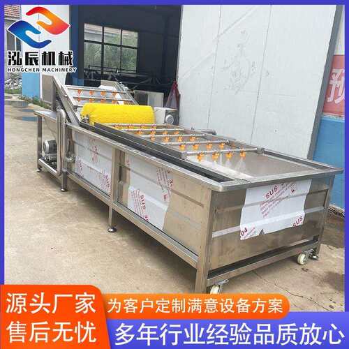 不锈钢预制菜清洗机圣女果气泡清洗机全自动甜橙清洗机设备