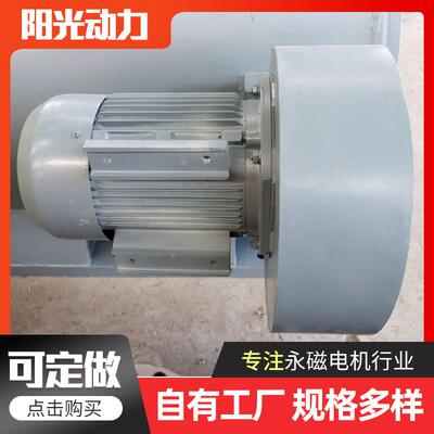 工厂直供永磁发电机2MW500转单三相3W5W8W10W永磁发电机