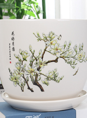 陶瓷花盆托盘特价个性创意花瓶