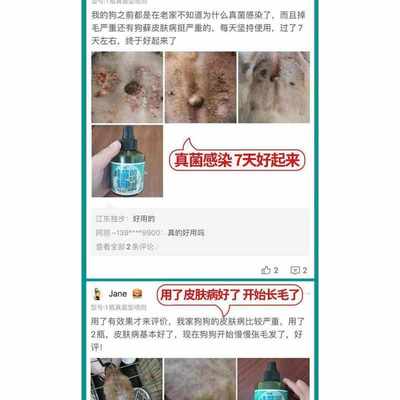 狗狗皮肤病外用狗癣真菌感染脱毛螨虫皮炎狗藓宠物专用喷剂