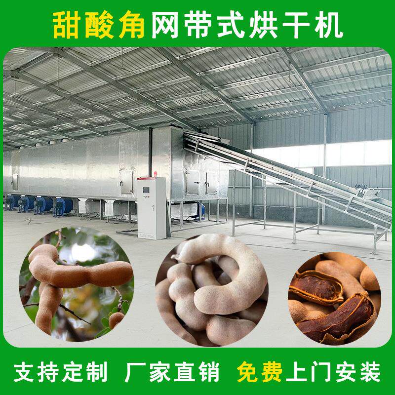 空气能酸角烘干机大型云南甜酸角网带烘干箱热泵脱水蔬菜烘干设