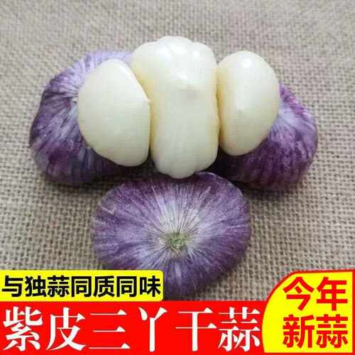 云南紫皮三丫蒜大蒜头新鲜独头蒜鲜蒜独蒜干蒜农家瓣蒜新蒜