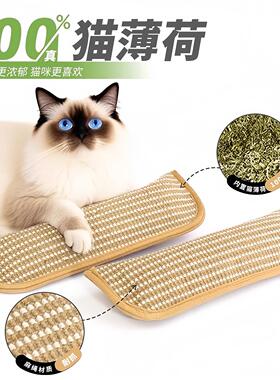 Cat toy, catnip pillow for self-entertainment, teething and