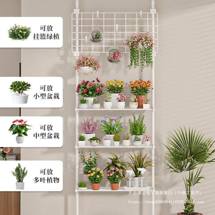 多肉花架置物架阳台层架顶天立地客厅支撑杆展示架室内植物摆放架