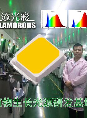 2835ld全光谱灯珠EDGled贴片灯0.2w植物生长灯珠e发光珠二极光灯