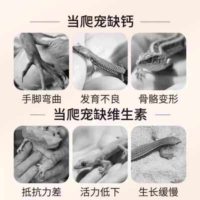 华畜陆龟变色龙鬃狮蜥蜴豹纹守宫蛇饲养电解质钙粉爬宠维生素含D3