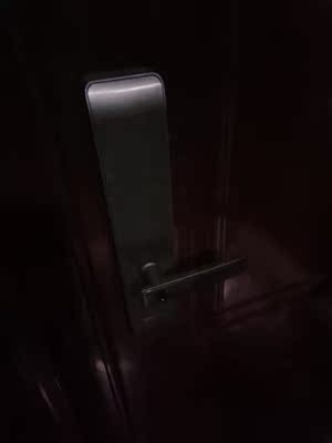 智家人指纹锁怎么样是哪里生产的，值吗