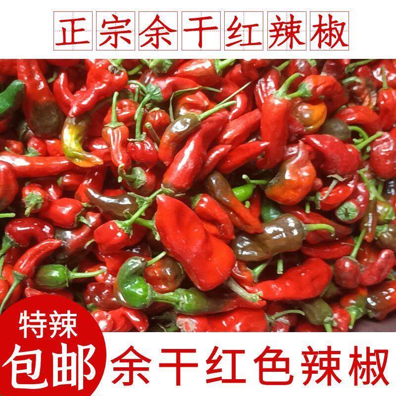 正宗余干小辣椒新鲜红辣椒 余干枫树红辣椒丰收小辣椒特辣现摘1斤