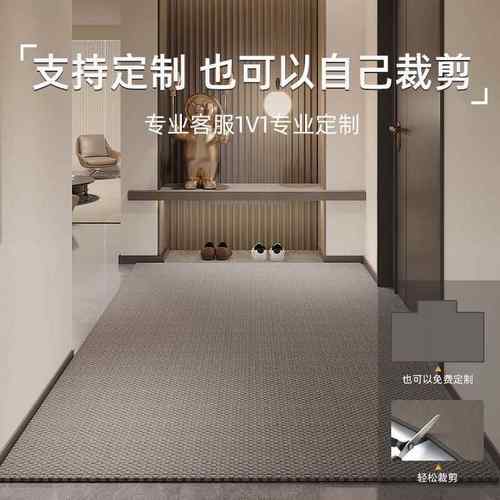 入户门GFH垫地垫轻门口防滑垫奢子高端家用地毯可裁剪脚门进门玄