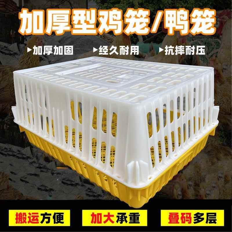 家禽塑料鸡笼运输笼加高加厚塑料鸭笼养殖场鸡鸭鸽子周转筐