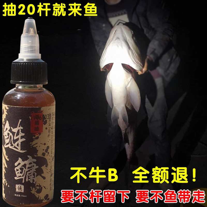 鲢鳙小药诱食剂饵料浮钓鱼胖头鱼花白鲢专用野钓助吸饵剂浮钓链镛