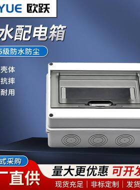 厂家配电箱型号齐全绝缘壳体IP65级防水配电箱