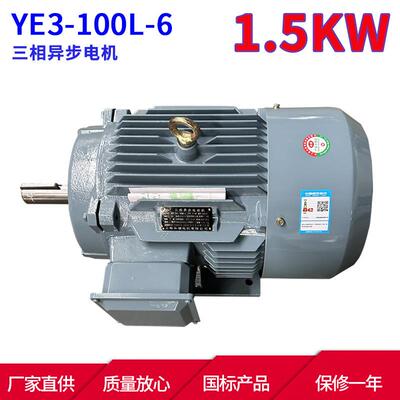 YE3系列三相异步电动机YE3-100L-61.5W6极三相异步电机马达