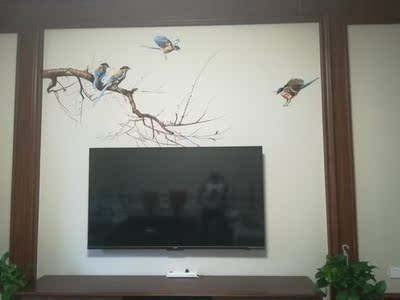 【行情报价】康佳65G10U和B65U哪个好，选错有你受的