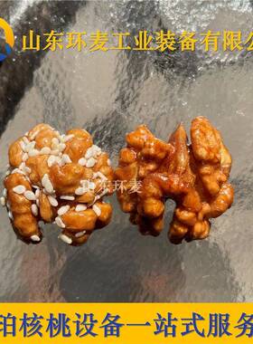 带机培训琥珀核桃仁设备FZP珀 脱衣琥东核桃仁器 山环麦质优价廉