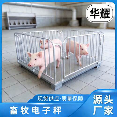 地磅秤养殖场称猪称牛地磅带围栏畜牧地磅1-吨小型电子地磅秤
