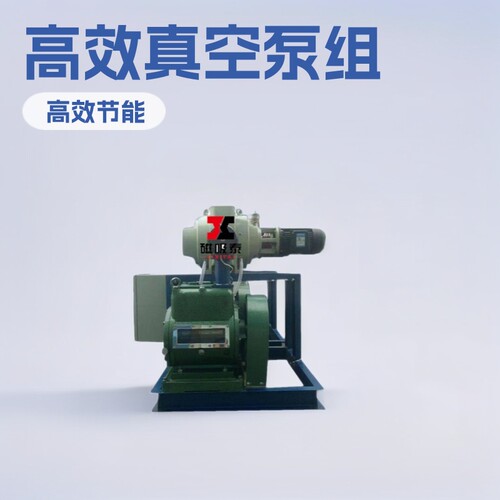 JZJX300-42真空机组ZJP300+70罗茨旋片式真空泵机组2x30A真空抽气
