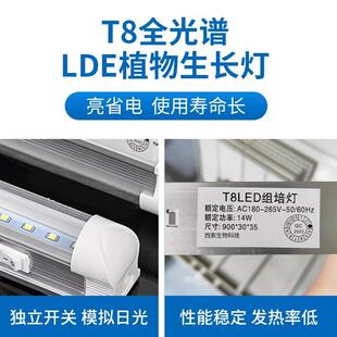 组培灯架货植物培养架光照培架架蔬养菜育苗572架架不锈钢货架