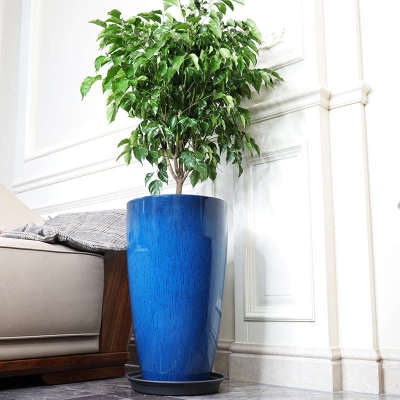 花盆大口径30以上的特大号款陶瓷带托盘绿萝高腰圆口多肉植物盆栽